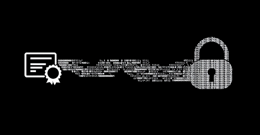 Microsoft Revokes 200 Fraudulent Certificates Used in Rhysida Ransomware Campaign